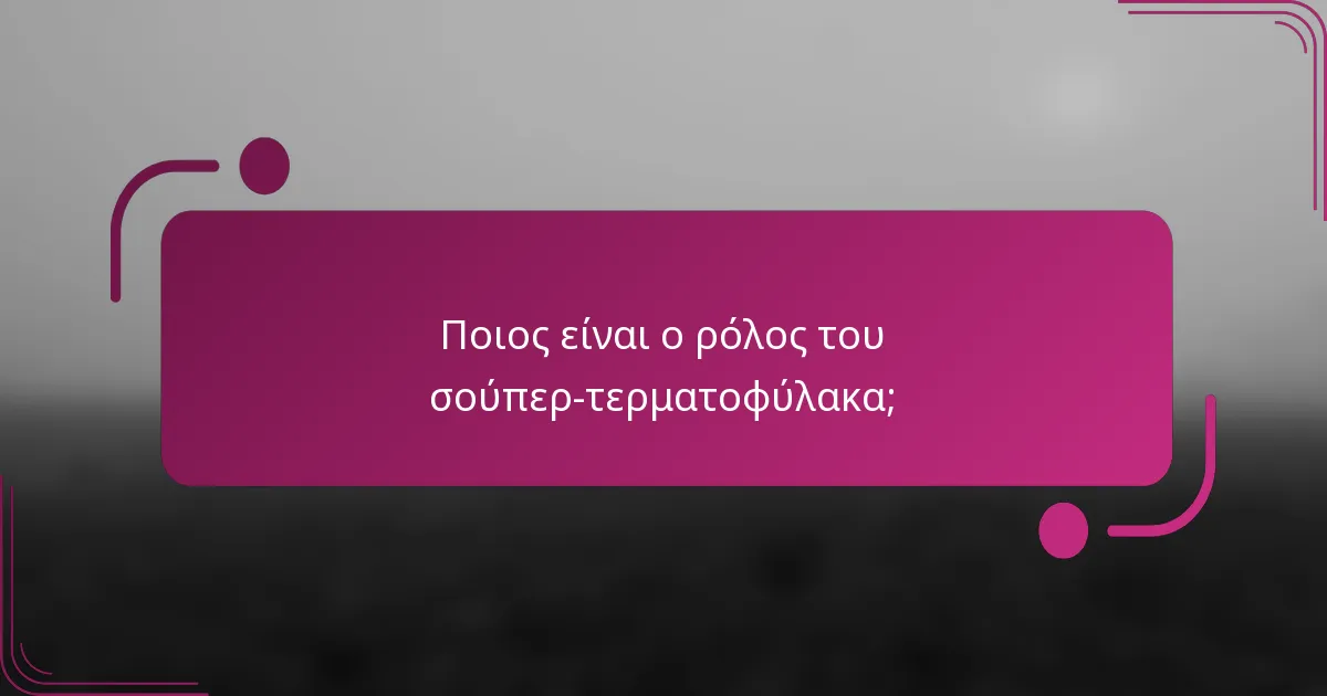 Ποιος είναι ο ρόλος του σούπερ-τερματοφύλακα;